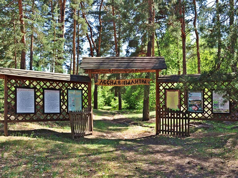 Дробишевське лісництво